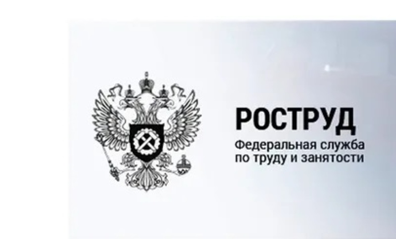 Федеральная по труду и занятости. Федеральная служба по труду и занятости герб. Роструд. Роструд логотип. Федеральная Трудовая инспекция.